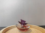 Guerlain Insolence EDP Vintage – Perfume Sample